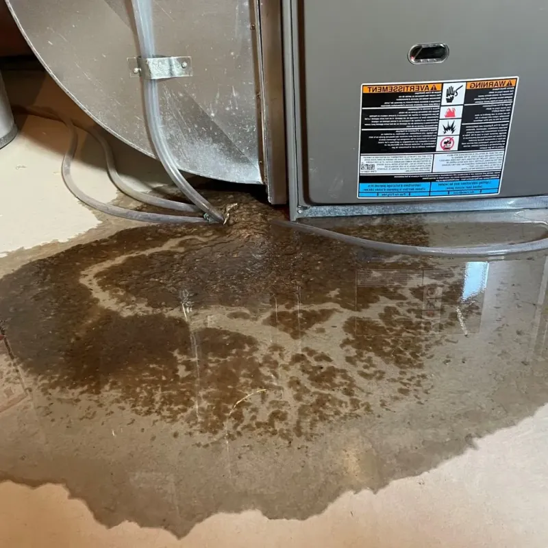 Pipe Burst and Leak Restoration in Old Town, ME